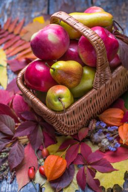 Taze organik elma ve armut sonbahar yaprakları ahşap arka plan ile sepet aldı.