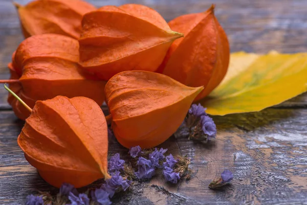 Autumn composition with dry physalis fruits, yellow leaf, dry flowers on a wooden table. — Stock Photo, Image
