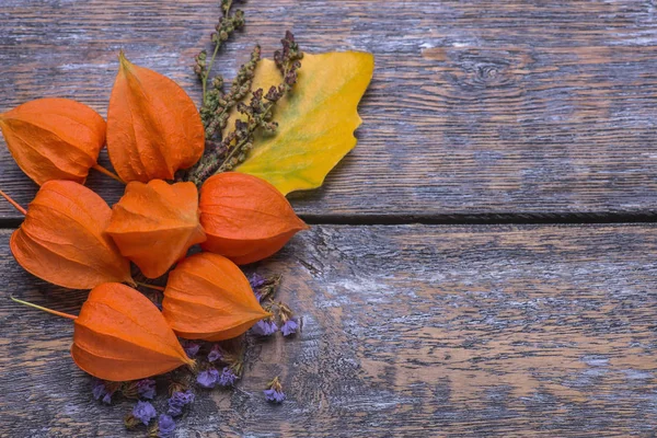 Frutas coloridas de la physalis del octubre con flores azules secas, hoja amarilla del árbol sobre un fondo de madera —  Fotos de Stock