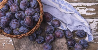 Taze olgun erik doğal hasat tablo metin altında yer ile ahşap bir gemide bir sepet içinde aldı. Üstten görünüm