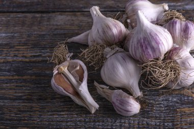 Tahta arka planda taze koparılmış doğal organik sarımsak yığını..