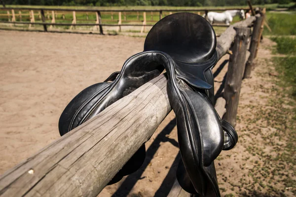 Horse Black Leather Saddle Riding Horse Wooden Rural Old Fence — Stock Photo, Image