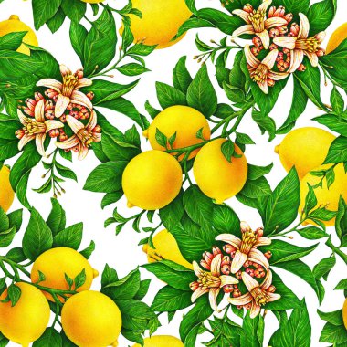 Sarı limon meyve dal yeşil yaprakları ve beyaz arka plan üzerinde izole çiçeklerle. Sulu boya çizim Dikişsiz desen tasarımı için