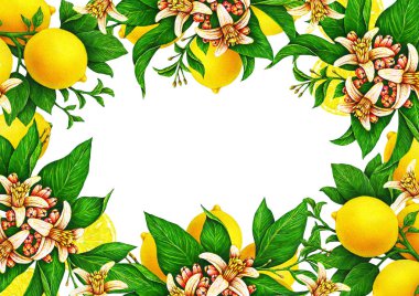 Festival düğün kartı yatay şablonu. Tasarım işlemeli meyve nedenleri. Çiçek ve yaprak çerçeve şeklinde sarı limon