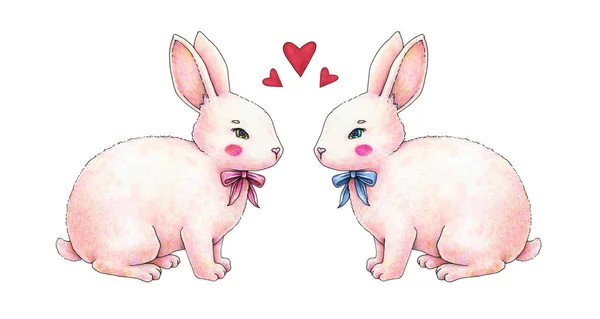 Schöne Rosa Animation Kaninchen Hase Mit Einer Verbeugung Der Liebe — Stockfoto