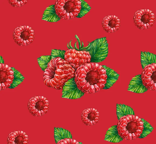 Forest raspberry isolated on red background. Watercolor drawing. Handwork. Seamless pattern for design