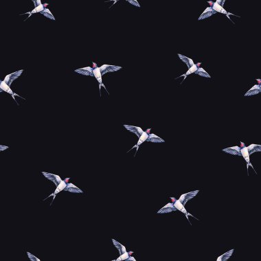 Siyah bir arka plan güzel yutmak. Sulu boya resim. Bahar kuş aşk getiriyor. İşlemeli. Seamless modeli 