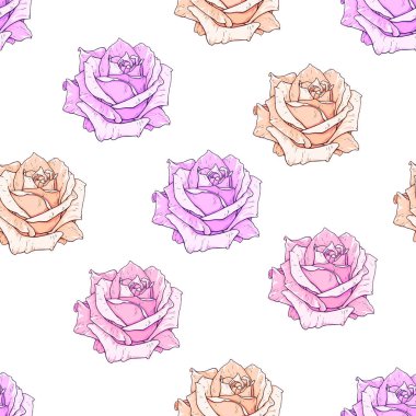 Pembe Gül sorunsuz arka plan. Çiçekler illüstrasyon Önden Görünüm. Desen kumaş tasarımı için romantik tarzda