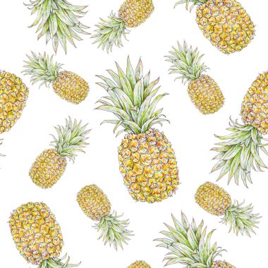 Beyaz arka planda ananas. Suluboya renkli çizimler. Tropik meyve. Tasarım için kusursuz desen.