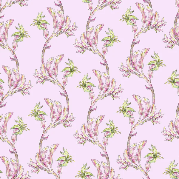Aquarel Roze Anigozanthos Bloemen Handwerk Trekken Naadloos Patroon Voor Ontwerp — Stockfoto