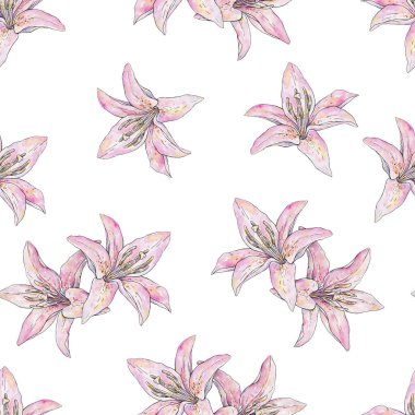 Beyaz arka planda izole edilmiş pembe zambak çiçekleri. Suluboya el işi çizimi. Çiçekli zambak çizimi. Tasarım için zambaklı kusursuz desen.