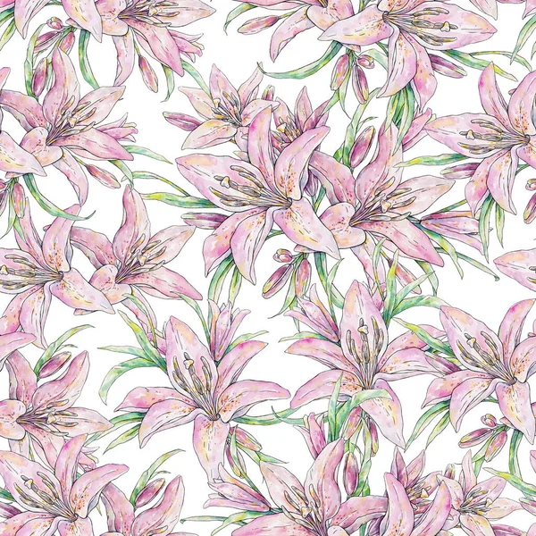 Pink Lily Flowers Isolated White Background Watercolor Handwork Illustration Draw — Stock Photo, Image