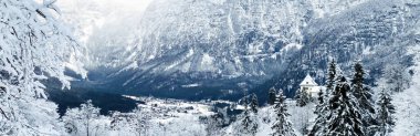 Hallstatt Karlı Dağ manzarası vadisinin panoraması ve yukarıdaki ormandan geçen göl Avusturya 'nın Hallstatt kentindeki eski tuz madenine çıkıyor.