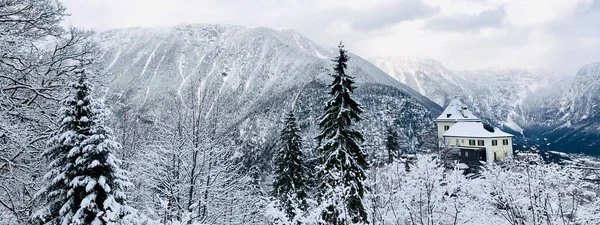 Panorama Hallstatt Invierno Paisaje Montaña Nieve Través Del Bosque Valle — Foto de Stock