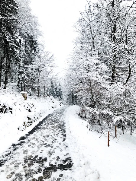 Walkway Hiking Epic Mountain Outdoor Adventure Old Salt Mine Hallstatt — Stock Photo, Image