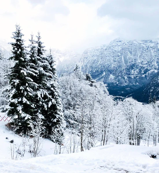 Hallstatt Paesaggio Sogno Neve Invernale Paesaggio Montagna Avventura All Aria — Foto Stock