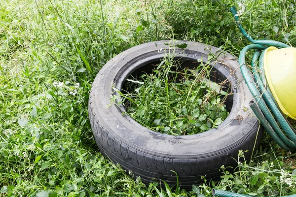 Eau Stagnante Piégée Dans Des Pneus Des Conteneurs Dans Environnement — Photo