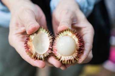Açık organik pulasan meyve tatlı, sulu ve kalın eti orchard'ile el sıktı