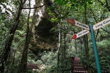 İz üstünde tahta Mulu Milli Park içine çok sayıda mağaracılık konumlar ile uyanma Turizm