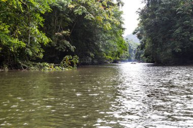 Doğal Merlinau nehir, lojistik erişim ve ulaşım kanal, Mulu Milli Parkı, Sarawak, Malezya sağlar