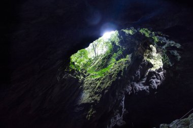 Işıktan açıklıklar temiz su mağara, Mulu Milli Parkı, Sarawak'deki/daki oteller
