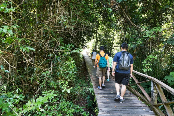 Group of people walking through tropical forest on plank path to Niah Caves at Niah National Park, Sarawak, Malaysia.