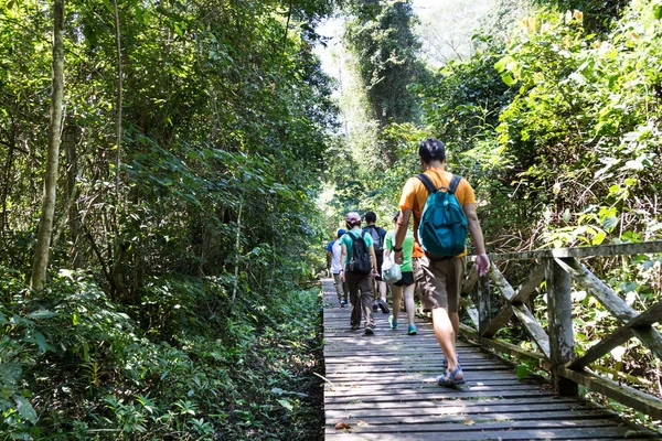 Grup tropikal orman Niah mağaraları, Niah Milli Parkı, Sarawak, Malezya için tahta yolda yürüyen insan.