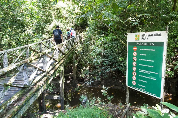 Grupo Pessoas Caminhando Pela Floresta Tropical Caminho Prancha Para Niah — Fotografia de Stock