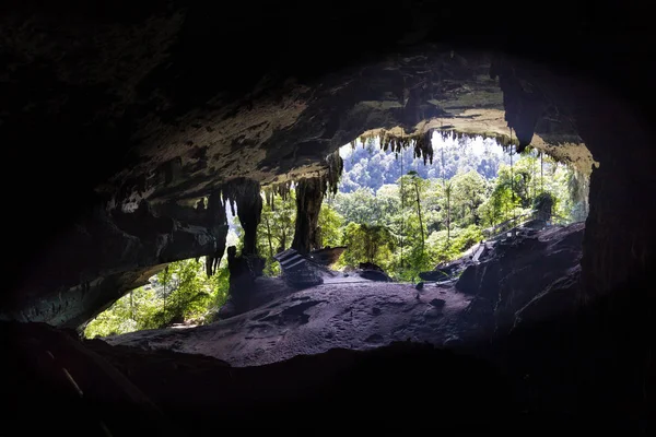 Görkemli girişi, Mulu Milli Parkı, Sarawak ile büyük mağara odası