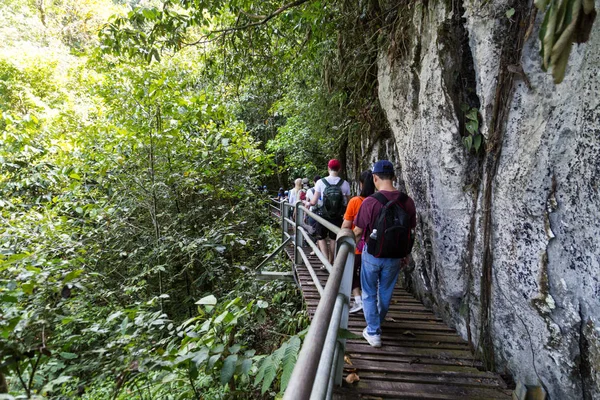 Tourists walking trail from Wind Cave to Clear Water Cave at Mulu National Park, Sarawak, Malaysia