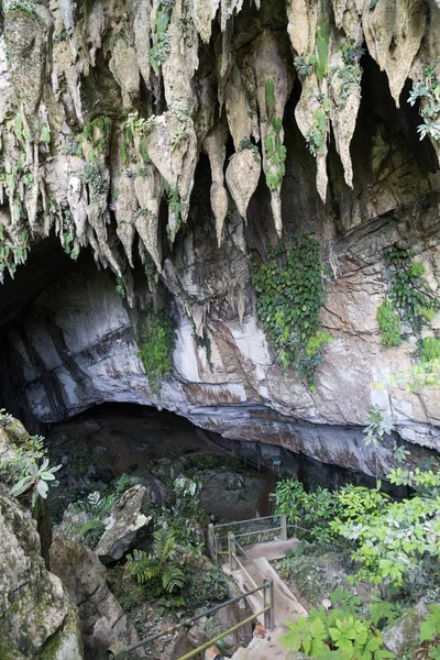 Сталактиты Входе Пещеру Чистой Воды Национальный Парк Мулу Саравак Малайзия — стоковое фото