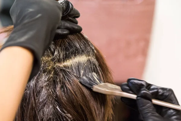Closeup Hair Dresser Applying Chemical Color Dye Hair Customer Salon — Stock Photo, Image