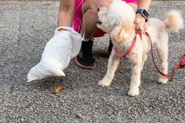 Evde beslenen hayvan köpek toplama kişi dışkıları plastik torba ile sokaktan poop.