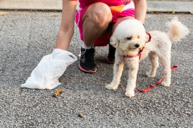 Evde beslenen hayvan köpek toplama kişi dışkıları plastik torba ile sokaktan poop.