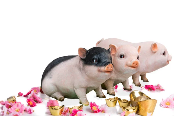 Pig Boar Decorative Cherry Blossom Flower Gold Nugget 2019 Chinese — Stock Photo, Image