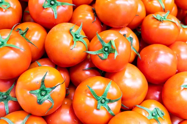 Taze hasat organik domates pazarında Satılık yığını