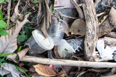 Plastik çöp du biyolojik gelişigüzel çöp