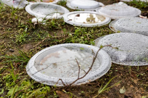 Still water collected on rubbish become breeding ground for mosq — Stock Photo, Image