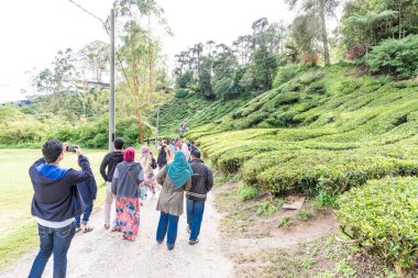 Cameron Highlands, Malezya, Nisan 6, 2019: turist yapma onların