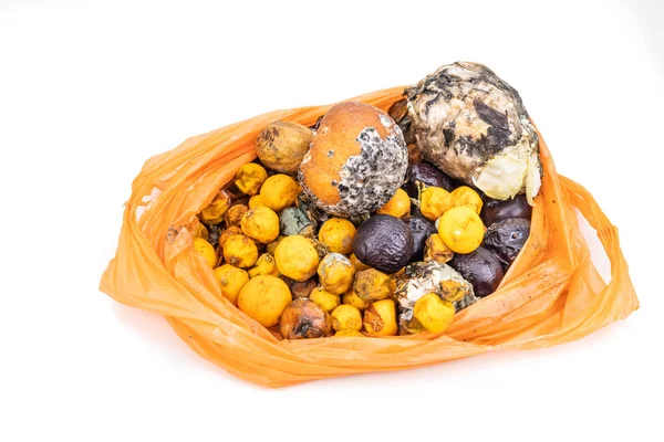 Сумка содержит гнилые заплесневелые фрукты и овощи для компостного процесса — стоковое фото