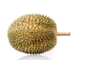 Beyaz arka planda popüler lezzetli Malezya Durian D101 cinsi