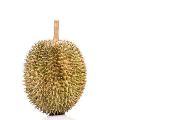 Popular Delicioso Durian Malaio D101 Raça Contra Fundo Branco — Fotografia de Stock