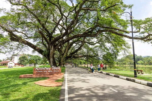 Scenic Taiping Lake Gardens Den Första Offentliga Trädgården Som Etablerades — Stockfoto