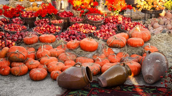 Abóboras Laranja Maçãs Mercado Agricultores Livre Mancha Abóbora — Fotografia de Stock