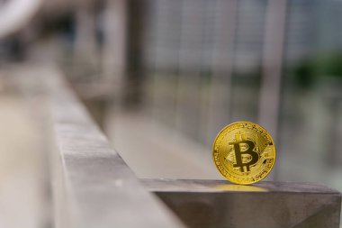 Altın bitcoin, yakın. İş kavramı