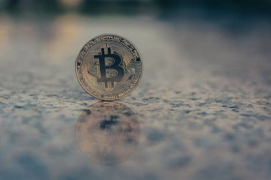Altın bitcoin, yakın. İş kavramı