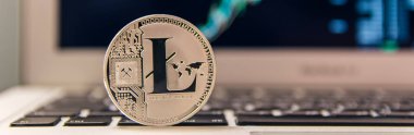 Grafik ile notebook klavye gümüş Litecoin