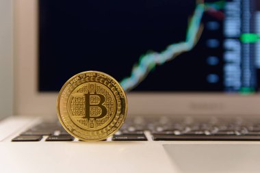 grafik artan notebook klavye üzerinde altın bitcoin