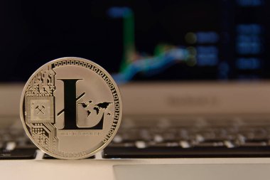 Defter keydoard üzerinde gümüş Litecoin