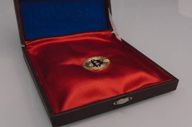 Yumuşak kırmızı ipek kabuk altın bitcoin